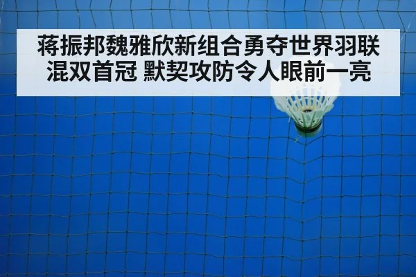 badminton net play